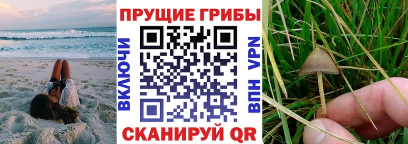 Псилоцибиновые грибы MAGIC MUSHROOMS  закладка  Заринск 